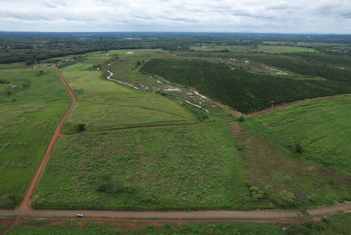Fincas en San Carlos